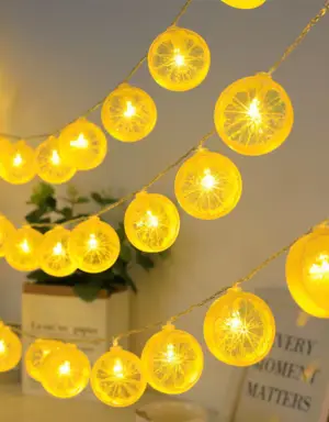 สายไฟหิ่งห้อย LED สําหรับตกแต่ง - แบบB 2m